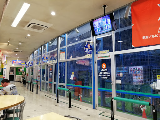長岡ドームスポーツスタジアム